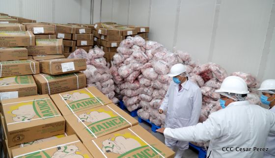 Moderno Matadero del Caribe San Isidro de capital coreano