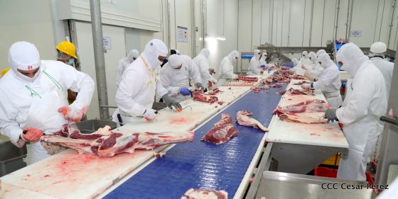 Moderno Matadero del Caribe San Isidro de capital coreano