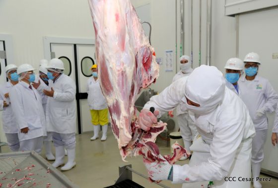 Moderno Matadero del Caribe San Isidro de capital coreano