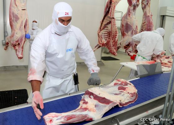 Moderno Matadero del Caribe San Isidro de capital coreano