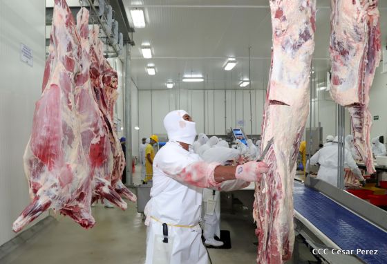 Moderno Matadero del Caribe San Isidro de capital coreano