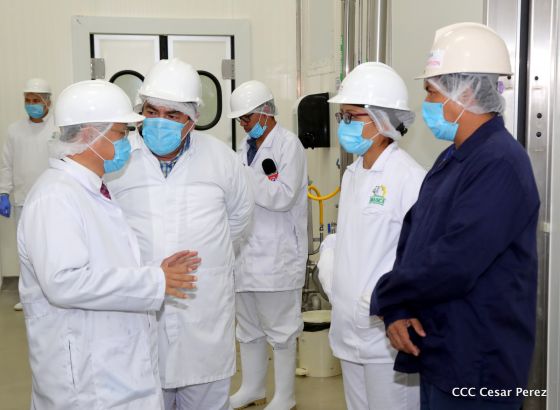 Moderno Matadero del Caribe San Isidro de capital coreano