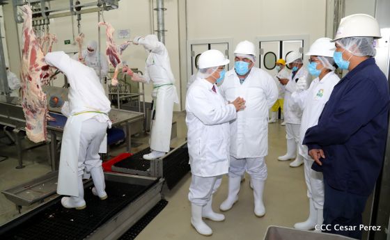 Moderno Matadero del Caribe San Isidro de capital coreano