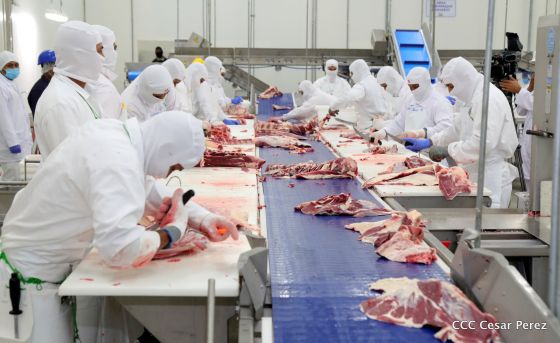 Moderno Matadero del Caribe San Isidro de capital coreano