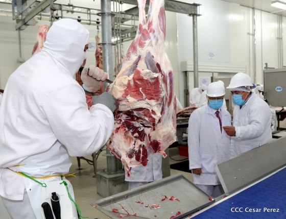 Moderno Matadero del Caribe San Isidro de capital coreano