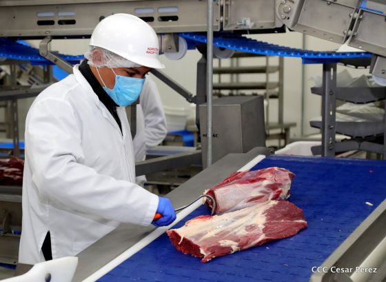 Moderno Matadero del Caribe San Isidro de capital coreano