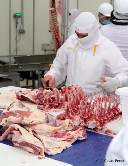 Moderno Matadero del Caribe San Isidro de capital coreano