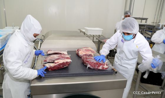 Moderno Matadero del Caribe San Isidro de capital coreano