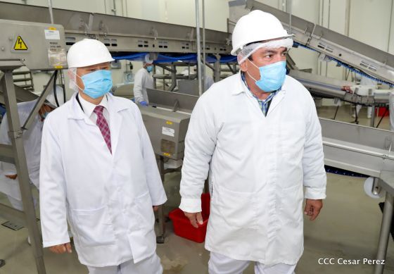 Moderno Matadero del Caribe San Isidro de capital coreano