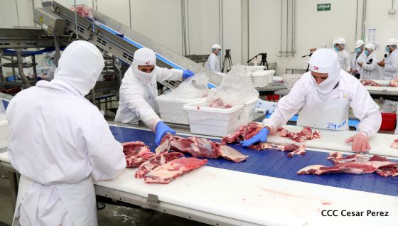 Moderno Matadero del Caribe San Isidro de capital coreano