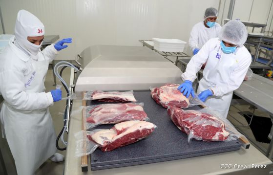 Moderno Matadero del Caribe San Isidro de capital coreano