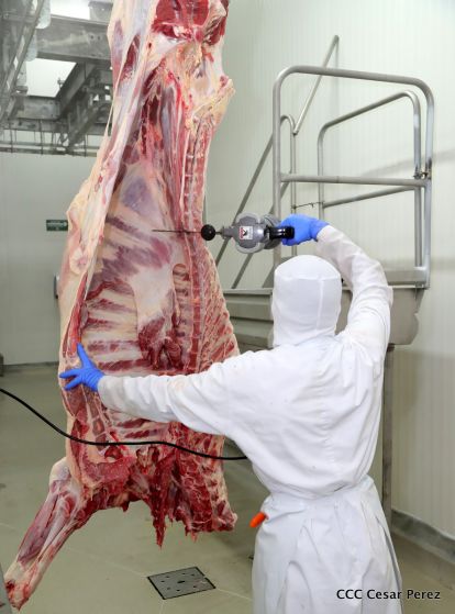 Moderno Matadero del Caribe San Isidro de capital coreano