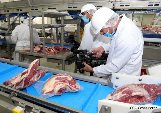 Moderno Matadero del Caribe San Isidro de capital coreano