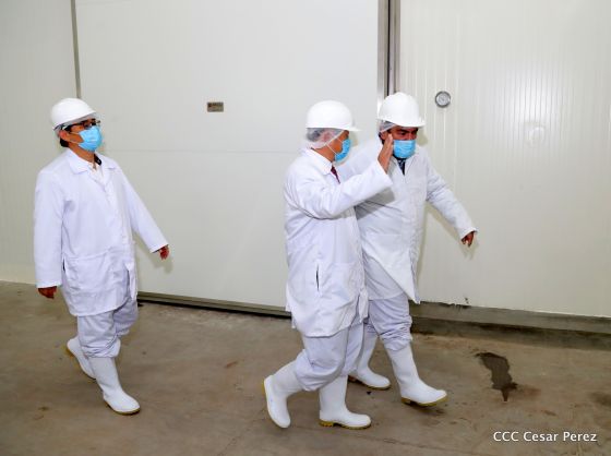 Moderno Matadero del Caribe San Isidro de capital coreano