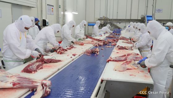 Moderno Matadero del Caribe San Isidro de capital coreano