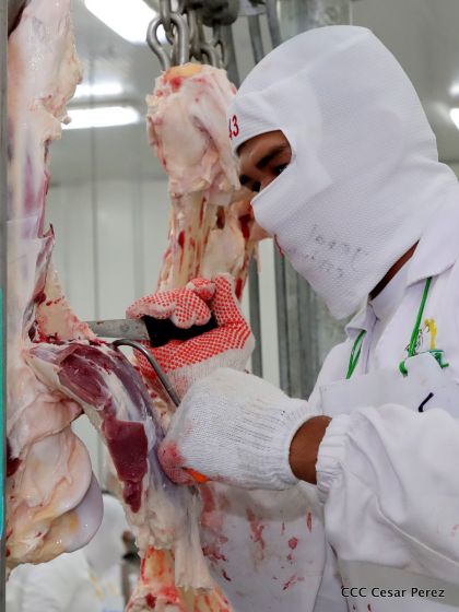 Moderno Matadero del Caribe San Isidro de capital coreano