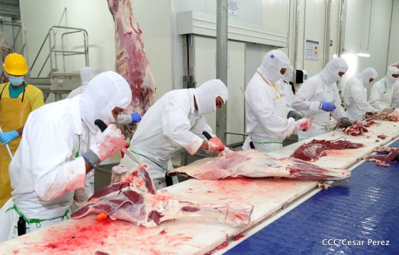 Moderno Matadero del Caribe San Isidro de capital coreano