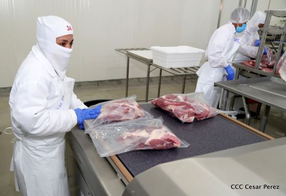 Moderno Matadero del Caribe San Isidro de capital coreano