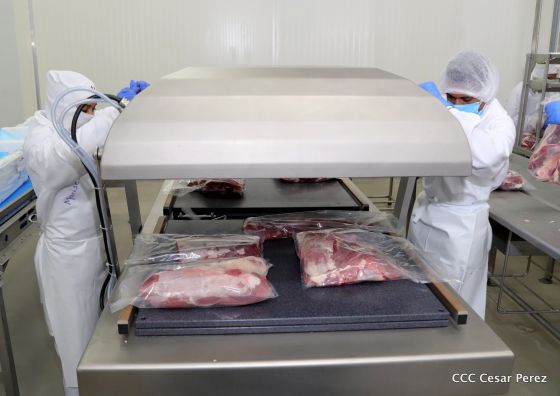 Moderno Matadero del Caribe San Isidro de capital coreano