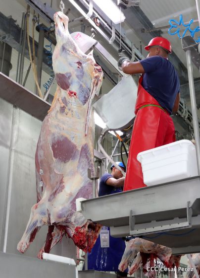 Moderno Matadero del Caribe San Isidro de capital coreano