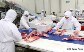 Moderno Matadero del Caribe San Isidro de capital coreano