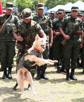 Plan del lanzamiento de la cosecha cafetalera 2019-2020