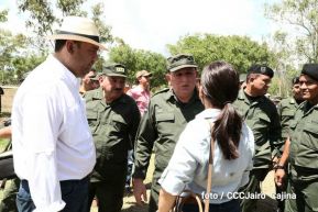 Plan del lanzamiento de la cosecha cafetalera 2019-2020