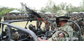 Plan del lanzamiento de la cosecha cafetalera 2019-2020