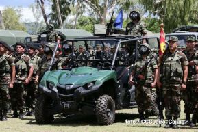 Plan del lanzamiento de la cosecha cafetalera 2019-2020