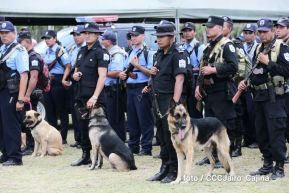 Plan del lanzamiento de la cosecha cafetalera 2019-2020