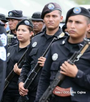 Plan del lanzamiento de la cosecha cafetalera 2019-2020