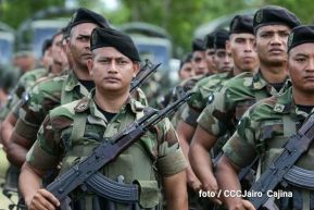 Plan del lanzamiento de la cosecha cafetalera 2019-2020