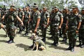 Plan del lanzamiento de la cosecha cafetalera 2019-2020