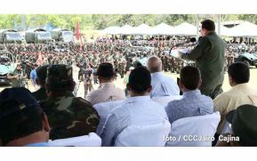 Plan del lanzamiento de la cosecha cafetalera 2019-2020