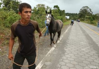 La Puerta hacia el Caribe