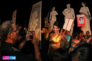 Elección de Musa Dariana 2014