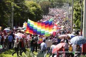Capitalinos caminan en defensa de sus derechos y en solidaridad con Bolivia