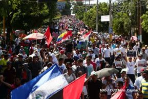 Capitalinos caminan en defensa de sus derechos y en solidaridad con Bolivia