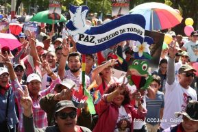 Capitalinos caminan en defensa de sus derechos y en solidaridad con Bolivia