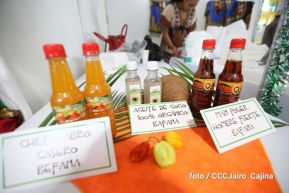 Festival Gastronómico Internacional culminó con éxito