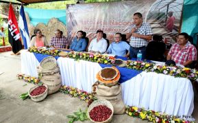 Presentan  Estrategia Nacional para el Desarrollo de la Caficultura