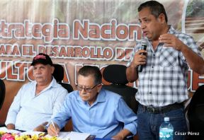 Presentan  Estrategia Nacional para el Desarrollo de la Caficultura