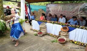 Presentan  Estrategia Nacional para el Desarrollo de la Caficultura