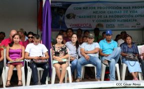 Presentan  Estrategia Nacional para el Desarrollo de la Caficultura