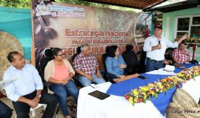 Presentan  Estrategia Nacional para el Desarrollo de la Caficultura