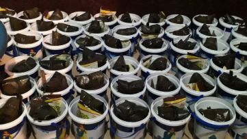 ¡María de Nicaragua! ¡Nicaragua de María!