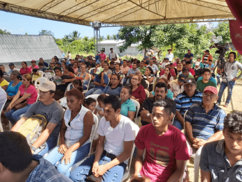 Nicaragua da la bienvenida a la cosecha de plátanos