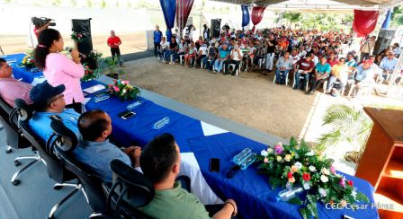 Nicaragua da la bienvenida a la cosecha de plátanos