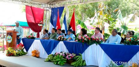 Nicaragua da la bienvenida a la cosecha de plátanos