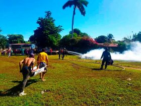 IV Ejercicio Nacional de Protección de la Vida Frente a las Multiamenazas